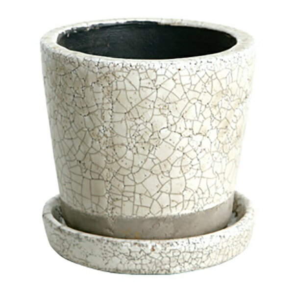 ダルトン DULTON グレーズドポット M アイボリー CH13-G476IV(代引不可)