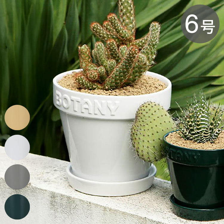DULTON ダルトン 植木鉢 ボタニーポット 6号鉢 ガーデンポット ホワイト かわいい おしゃれ アメリカン ヴィンテージ感 プレゼント ギフト プチギフト(代引不可)
