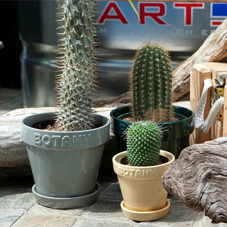 DULTON ダルトン 植木鉢 ボタニーポット 6号鉢 ガーデンポット ホワイト かわいい おしゃれ アメリカン ヴィンテージ感 プレゼント ギフト プチギフト(代引不可)