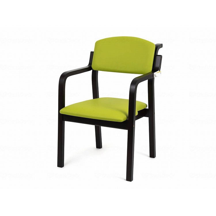 1脚 オフィス・ラボ エコノチェア ウッディ コーティングなし/ダークフレーム/グリーン/- ダークフレーム/グリーン EC-WD24VDKGR 583542_12326_-(代引不可)【送料無料】