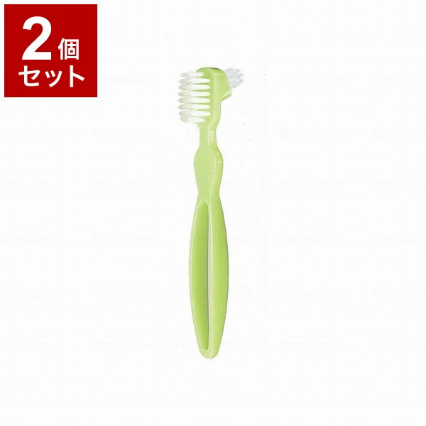 【単品2個セット】ピジョンタヒラ クリンスマイル 入れ歯洗浄ブラシ グリーン 669101AL(代引不可)【送料無料】