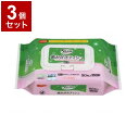 【単品3個セット】ピジョンタヒラ 歯みがきティシュ くちあたりおだやかタイプ90枚 個 669101AQ(代引不可)【送料無料】