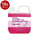【単品10個セット】サラヤ サニパスター 本 5kg 31784(代引不可)【送料無料】