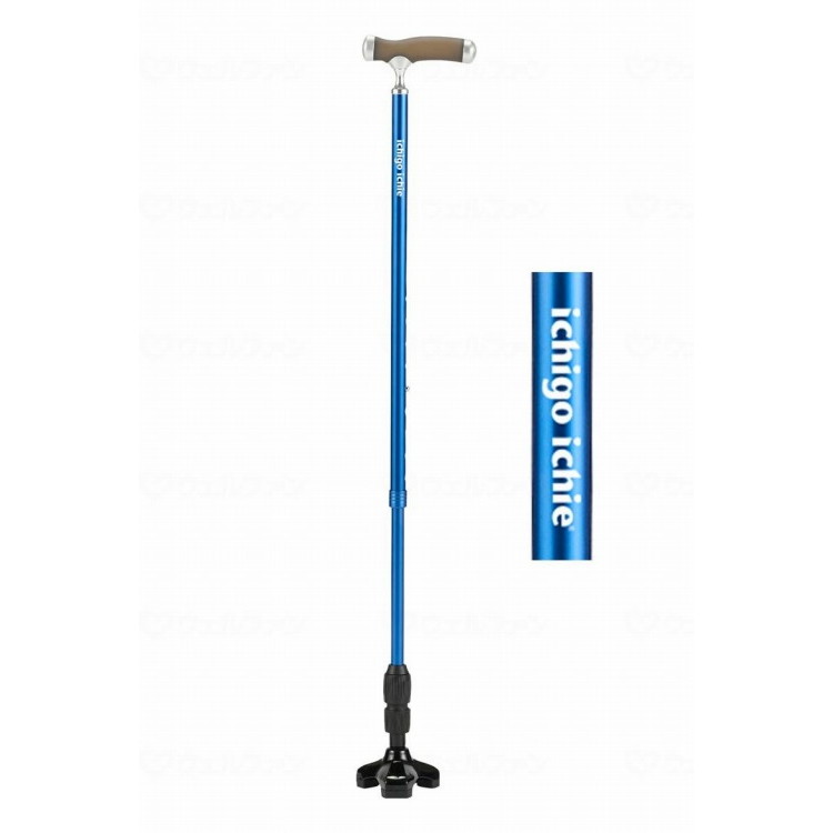 マキテック もっちートリプル/ブルー/-(代引不可)【送料無料】