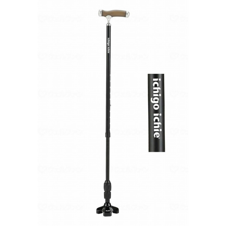 マキテック もっちートリプル/ブラック/-(代引不可)【送料無料】