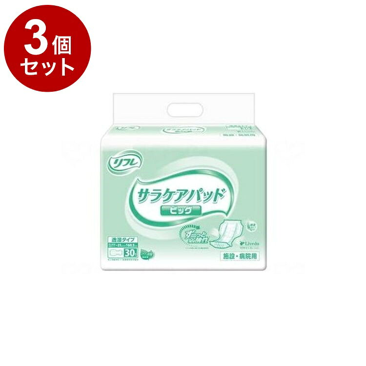 【単品3個セット】 リブドゥ Gサラケアパッドビッグ 袋 18081(代引不可)【送料無料】