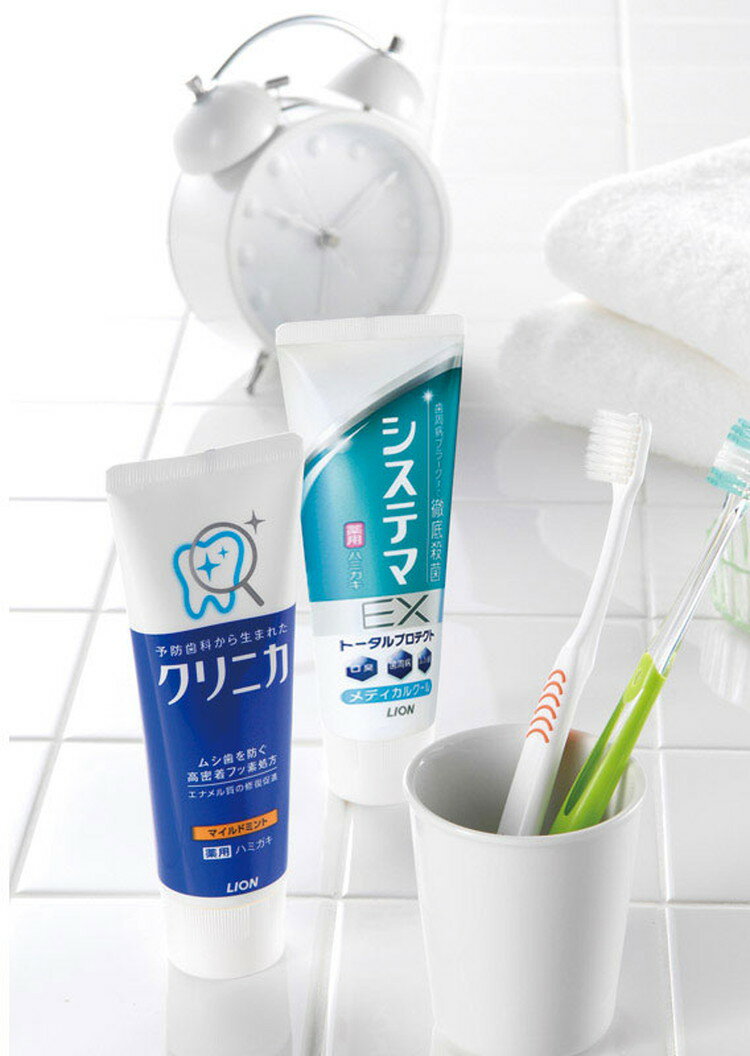 ライオン デンタルセット LDS-A(代引不可)【送料無料】 2