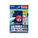 サンワサプライ インクジェットカラー布用アイロンプリント紙 JP-TPRCLNA6(代引不可)