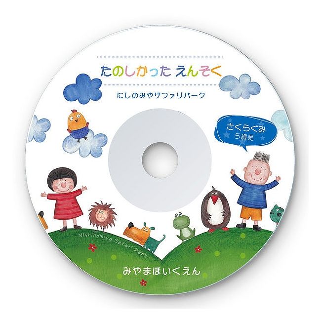 サンワサプライ インクジェットDVD/CDラベル(つやなしマット) LB-CDR001N-100(代引不可)【送料無料】(3)