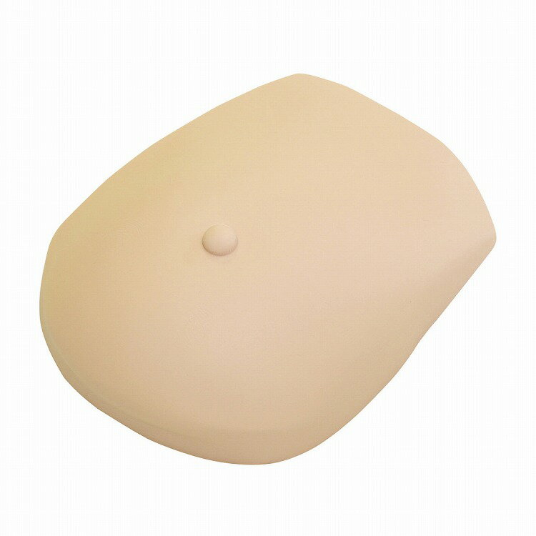 乳がんシミュレータ エコーモデル BMC-02 ヒョウジュンショク【送料無料】