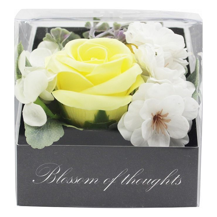 Blossom of thoughts �����ץե��ץ� �������� ¤�� (�����ץե�)