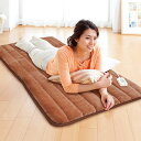 ゼンケン 電磁波99%カット 一人用電熱マット 80x180cm タイマー付き 手洗いOK ブラウン ZMT-75CT ホットカーペット(代引不可)【送料無料】(2)