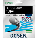 GOSEN(S[Z) ebNKbg ^t 16 zCg TS620W