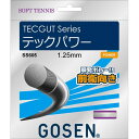 GOSEN(ゴーセン) テックガット テック