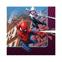 マーベル スパイダーマン Webbed Wonder 16pcペーパーナプキン MARVEL 紙ナプキン Spiderman 【amscan】