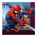 マーベル スパイダーマン Webbed Wonder 16pcペーパーランチョンナプキン MARVEL 紙ナプキン Spiderman 【amscan】