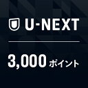 U-NEXTギフトコード 3,000ポイント※900ポイント