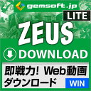 【厳選！PCソフト セレクトセール！】ZEUS RECORD LITE ダウンロード版 【録画の即戦力 PC画面を録画 録音】