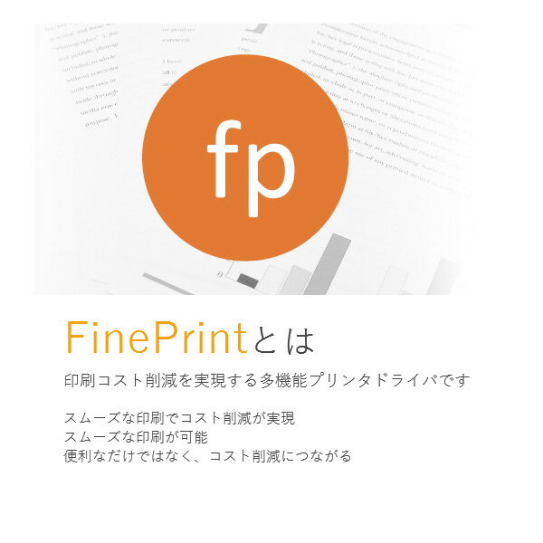 FinePrint11 / 販売元:株式会社NSD