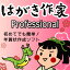 Ϥ 17 Professional (2024 äǯƥץ졼ȥեդ)丵ҥ롼ȥץ