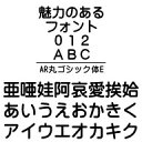 AR丸ゴシック体E (Windows版 TrueTypeフォントJIS2004字形対応版) / 販売元:株式会社シーアンドジイ