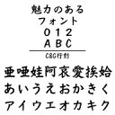C&G行刻 MAC版TrueTypeフォント /販売元:株式会社シーアンドジイ