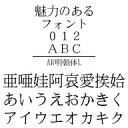 AR明朝体L Windows版TrueTypeフォント