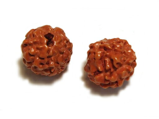 〔ボダイジュビーズ 10mm 2粒入〕 アクセサリーパーツ/ウッドビーズ/木/ナチュラル 〔ボダイジュビーズ 10mm 2粒入〕 アクセサリーパーツ/ウッドビーズ/木/ナチュラル