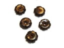 5粒入 【ボーンビーズ A-02 円板型10mm ダークブラウン】 焦げ茶/ブラウン/白/オフホワイト/水牛/天然素材/手作りアクセサリー/パーツ/ハンドメイド...