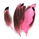10枚入【天然ダックフェザー ( 桃色/ピンク ) 】約4cm~8cm アクセサリーパーツ/素材/羽/フェザー/ハンドメイド/オリジナル/制作/ガチョウ/アヒル/ダック/グース/手芸/コスプレ