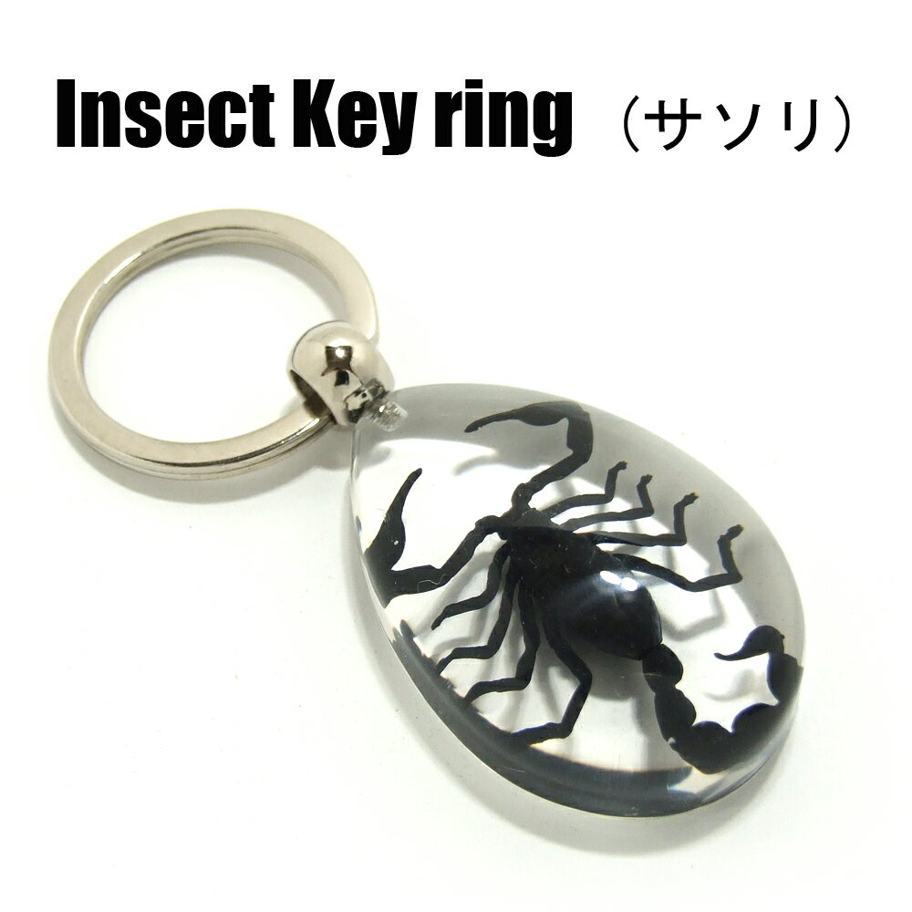 Insect Keyring【サソリ】SK0901 キーホルダー/昆虫/アクセサリーパーツ/ペンダントトップにも/ストラップ/海外雑貨/キーリング/キーチャーム/レジン/樹脂