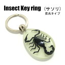 Insect Keyring【サソリ】SK0901 夜光タイプ/蓄光/キーホルダー/昆虫/アクセサリーパーツ/ペンダントトップにも/スト…