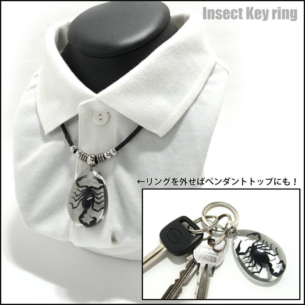 Insect Keyring【コオロギ】SK5610 キーホルダー/昆虫/アクセサリーパーツ/ペンダントトップにも/ストラップ/海外雑貨/キーリング/キーチャーム/レジン/樹脂