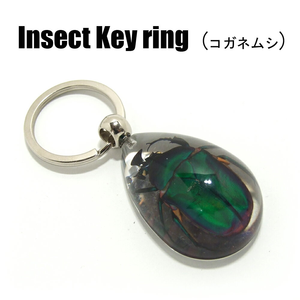 Insect Keyring【コガネムシ】SK2910 キーホルダー/昆虫/アクセサリーパーツ/ペンダントトップにも/ストラップ/海外雑貨/キーリング/キーチャーム/レジン/樹脂