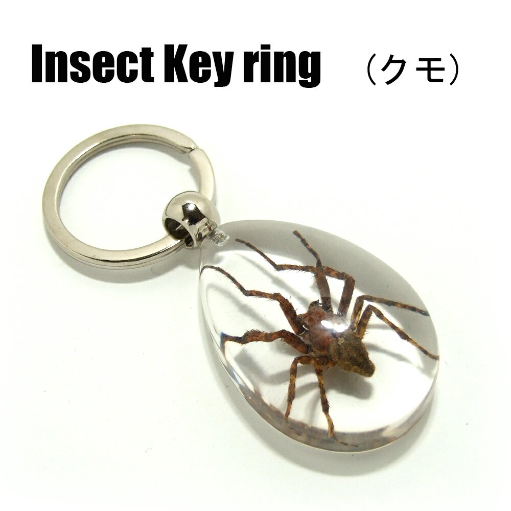 Insect Keyring【クモ】SK3910 キーホルダー/昆虫/アクセサリーパーツ/ペンダントトップにも/ストラップ/海外雑貨/キーリング/キーチャーム/レジン/樹脂