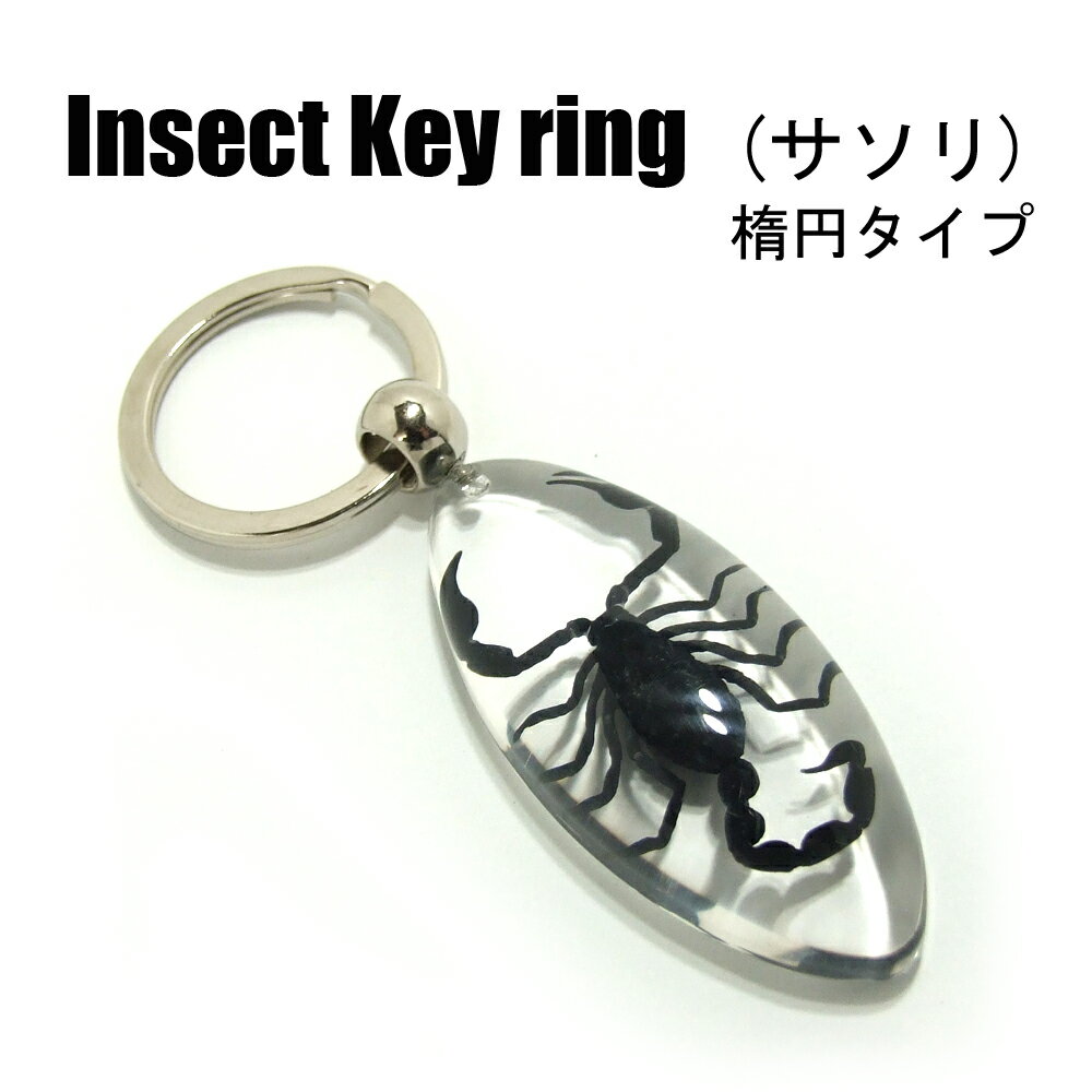 Insect Keyring【サソリ 楕円】SK0901K キーホルダー/昆虫/アクセサリーパーツ/ペンダントトップにも/ストラップ/海外雑貨/キーリング/キーチャーム/レジン/樹脂