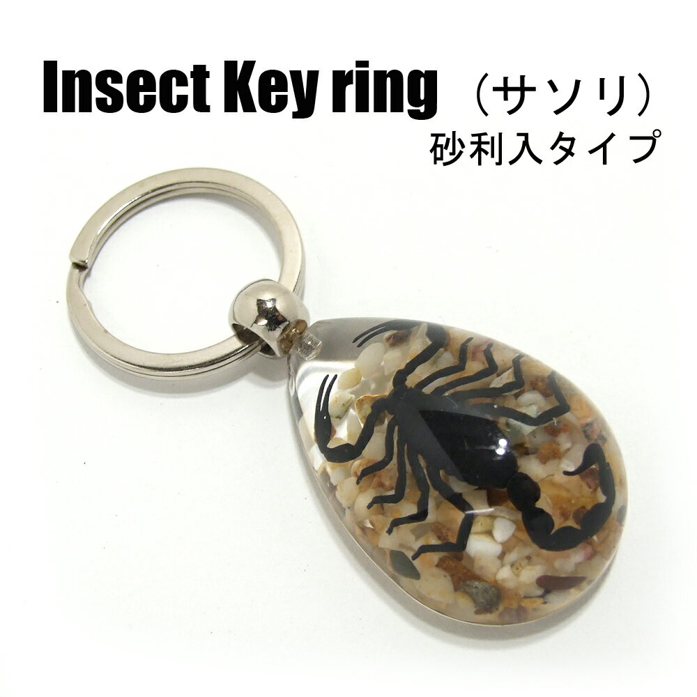 Insect Keyring【サソリ 砂利入】SK0901J キーホルダー/昆虫/アクセサリーパーツ/ペンダントトップにも/ストラップ/海外雑貨/キーリング/キーチャーム/レジン/樹脂