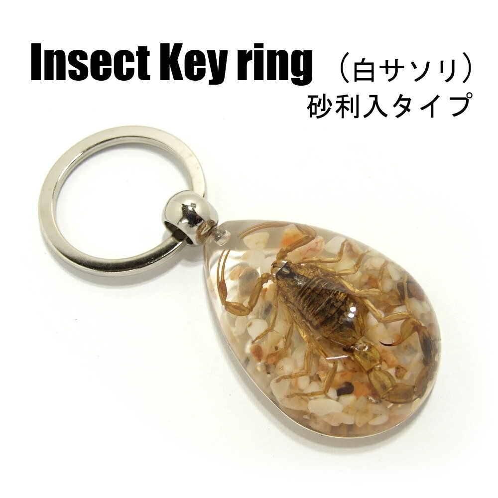 Insect Keyring【白サソリ 砂利入】SK0901J キーホルダー/昆虫/アクセサリーパーツ/ペンダントトップにも/ストラップ/海外雑貨/キーリング/キーチャーム/レジン/樹脂