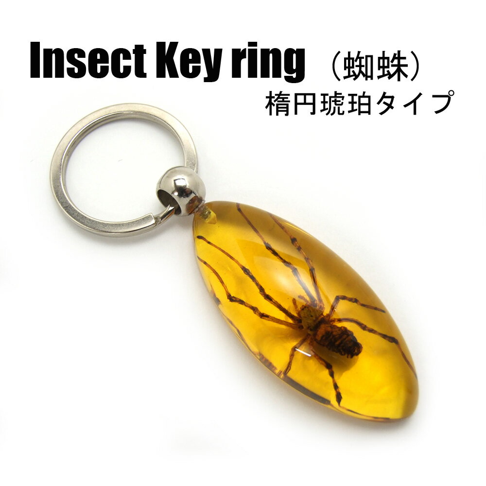 Insect Keyring【蜘蛛(楕円・琥珀タイプ)】SK0901L4 キーホルダー/昆虫/アクセサリーパーツ/ペンダントトップにも/ストラップ/海外雑貨/キーリング/キーチャーム/レジン/樹脂