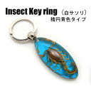 Insect Keyring【白サソリ(楕円 青色)】SK0901L1 キーホルダー/昆虫/アクセサリーパーツ/ペンダントトップにも/ストラップ/海外雑貨/キーリング/キーチャーム/レジン/樹脂