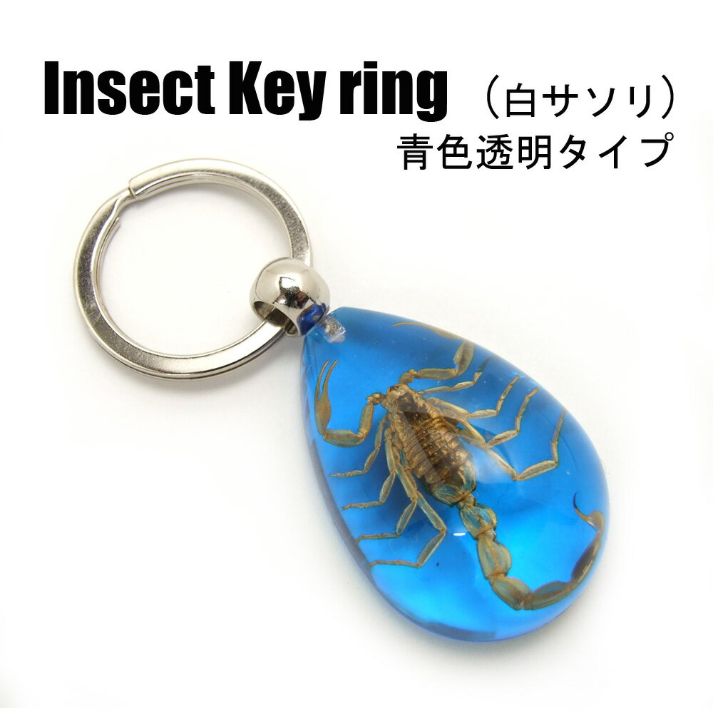 Insect Keyring【白サソリ(青色透明)】SK