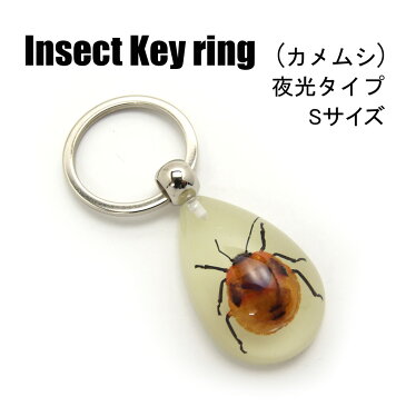 Insect Keyring 【カメムシ(Sサイズ)】SDY9024 夜光タイプ/キーホルダー/昆虫/アクセサリーパーツ/ペンダントトップにも/ストラップ/海外雑貨/キーリング/キーチャーム/レジン/樹脂