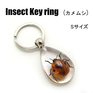 Insect Keyring 【カメムシ(Sサイズ)】SD09025 キーホルダー/昆虫/アクセサリーパーツ/ペンダントトップにも/ストラップ/海外雑貨/キーリング/キーチャーム/レジン/樹脂