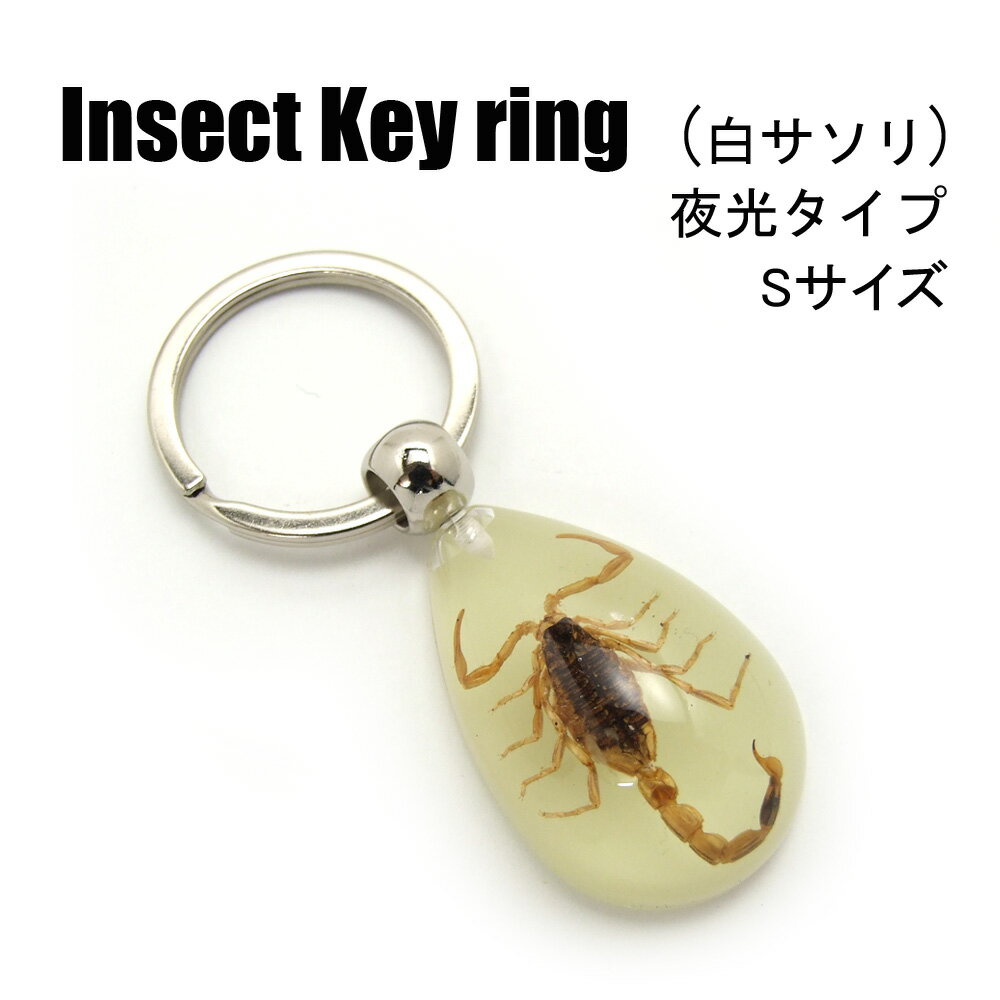 Insect Keyring 【白サソリ(Sサイズ)】SDY