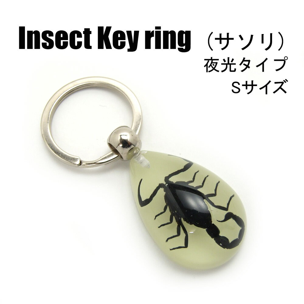 Insect Keyring 【サソリ(Sサイズ)】SDY902