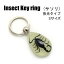 Insect Keyring ڥ(S)SDY9021 /ۥ//꡼ѡ/ڥȥȥåפˤ/ȥå///㡼/쥸/