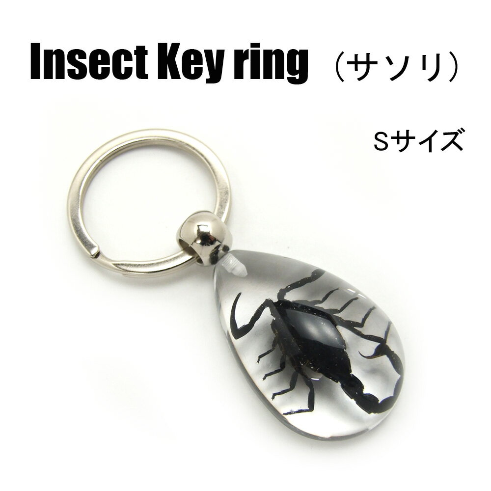 Insect Keyring 【サソリ(Sサイズ)】SD0902