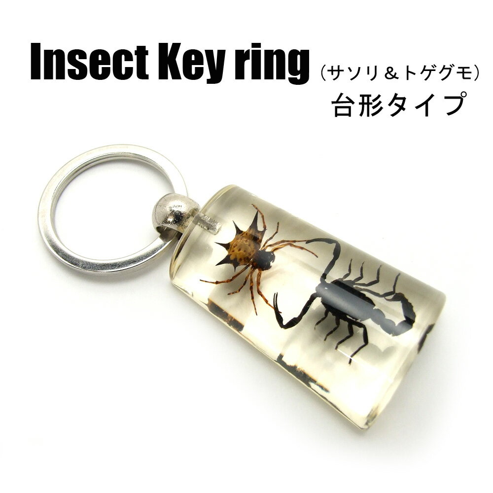 アウトレット品 Insect Keyring【サソリ