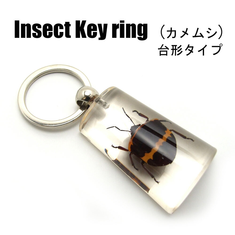 Insect Keyring【カメムシ 台形】SK0743D キーホルダー/昆虫/アクセサリーパーツ/ペンダントトップにも/ストラップ/海外雑貨/キーリング/キーチャーム/レジン/樹脂