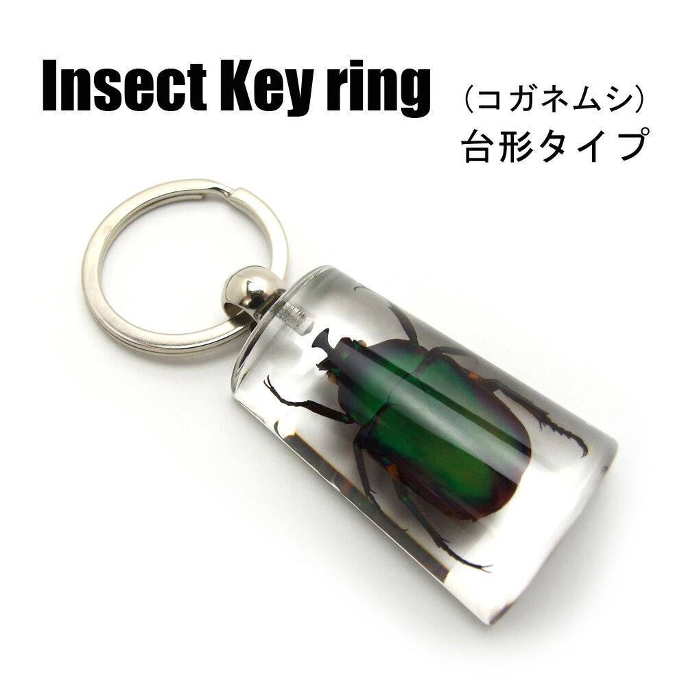 Insect Keyring【コガネムシ 台形】SK0563D キーホルダー/昆虫/アクセサリーパーツ/ペンダントトップにも/ストラップ/海外雑貨/キーリング/キーチャーム/レジン/樹脂